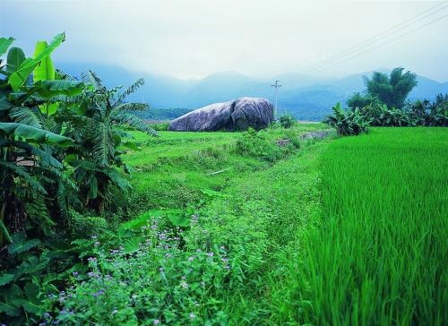 除臭剂厂家